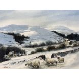 John Urwin (British Contemporary): Sheep Grazing in Winter