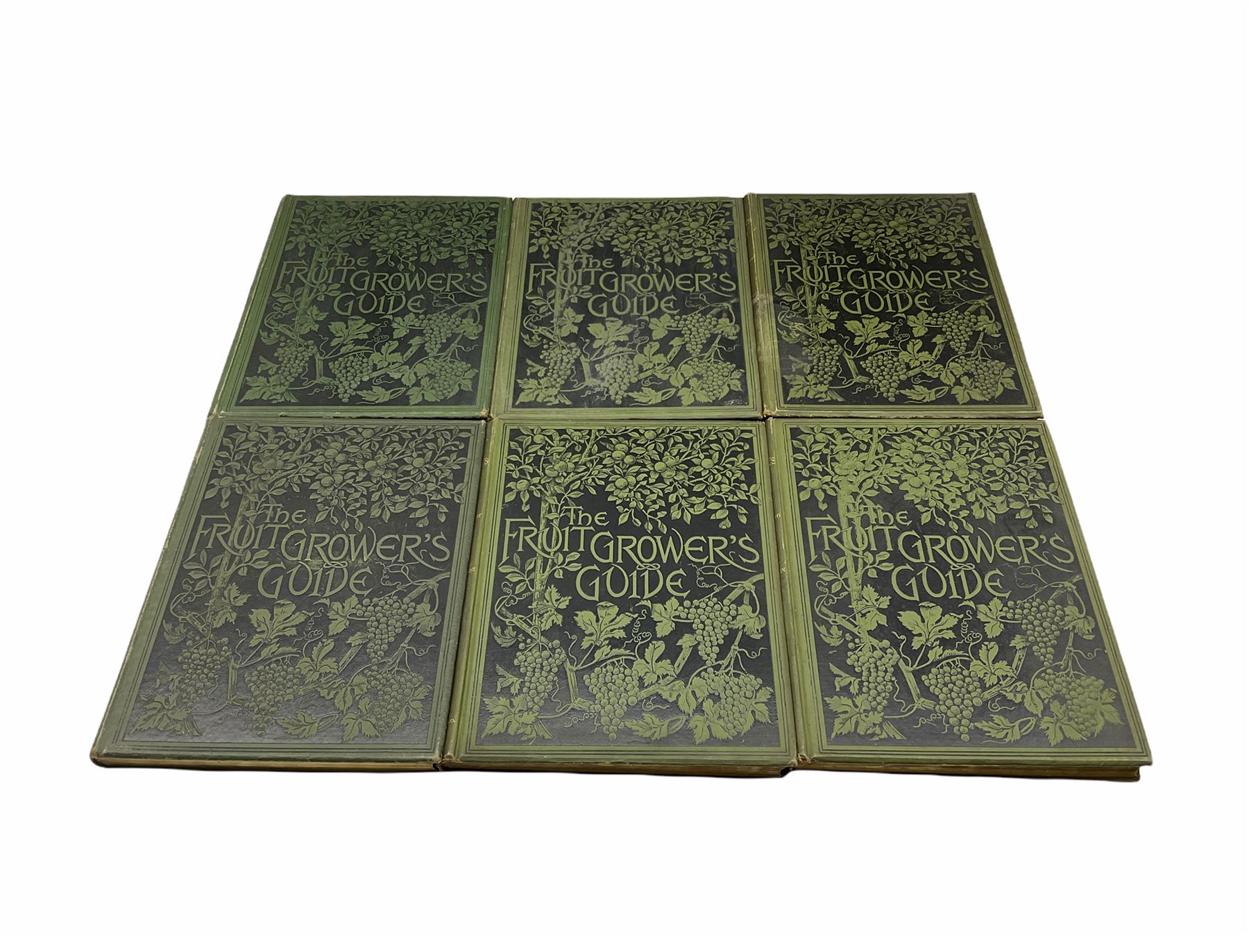 John Wright - The Fruit Growers Guide published Virtue & Co in 6 volumes with chromolithographs by M