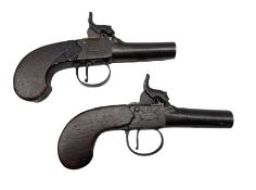 Pair of percussion pocket pistols