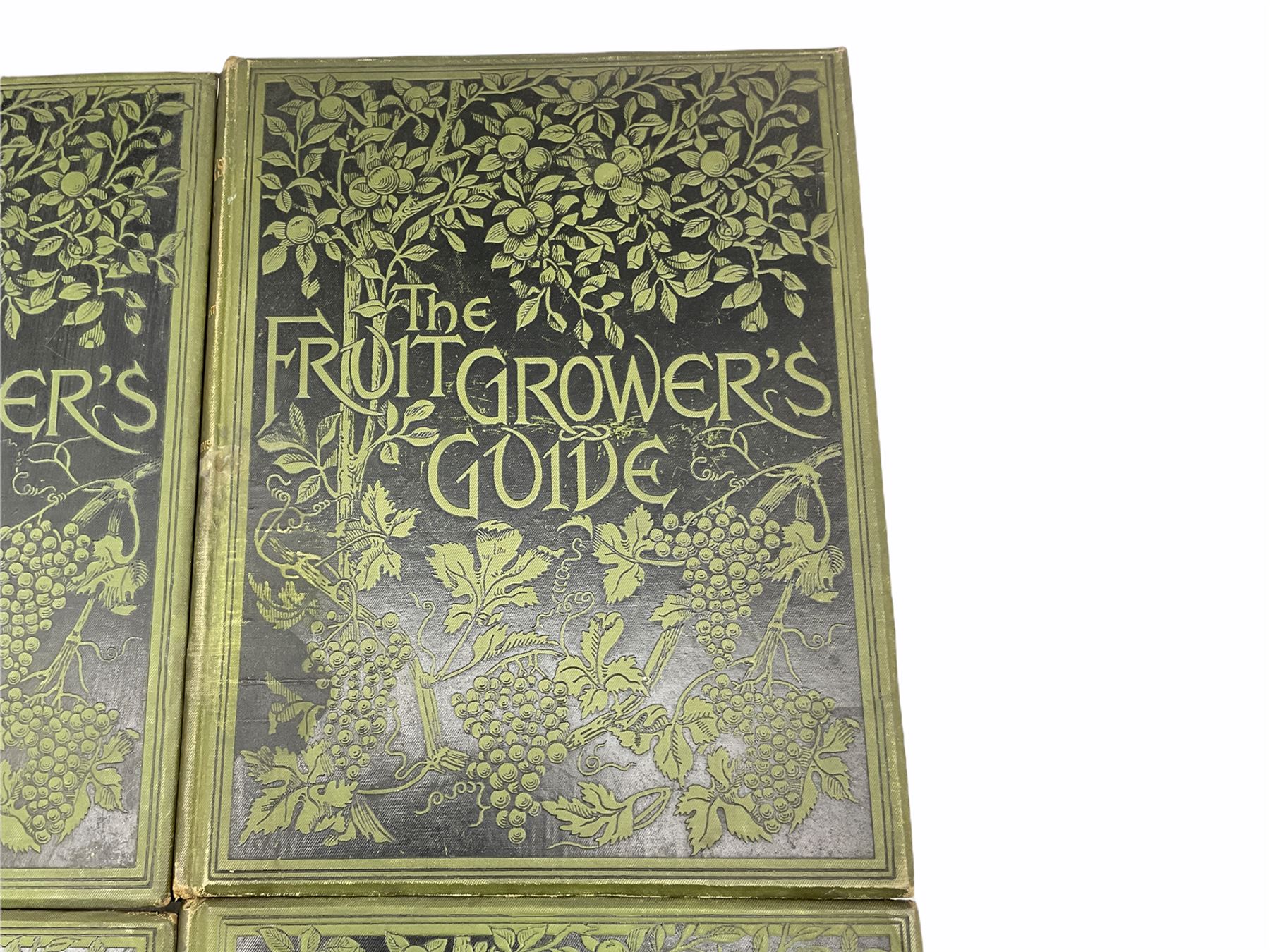 John Wright - The Fruit Growers Guide published Virtue & Co in 6 volumes with chromolithographs by M - Image 3 of 4