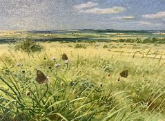 Richard Tratt (British 1953-): Downland Scene with Brown Butterflies