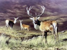 After T Ralph Hall (British contemporary): Highland Stag and Deer