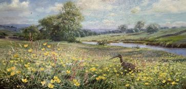 Richard Tratt (British 1953-): Curlew in Water Meadow with Buttercups
