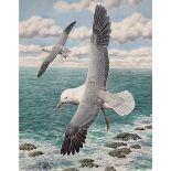 Simon Turvey (British 1957-): Seagulls in Flight