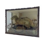 Taxidermy: Cased model of a Mink in naturalistic setting with carved outer frame