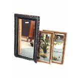 Pair of hand painted mirrors with bevel edge in gilt frame