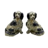 Pair of Staffordshire style king charles spaniels H35cm
