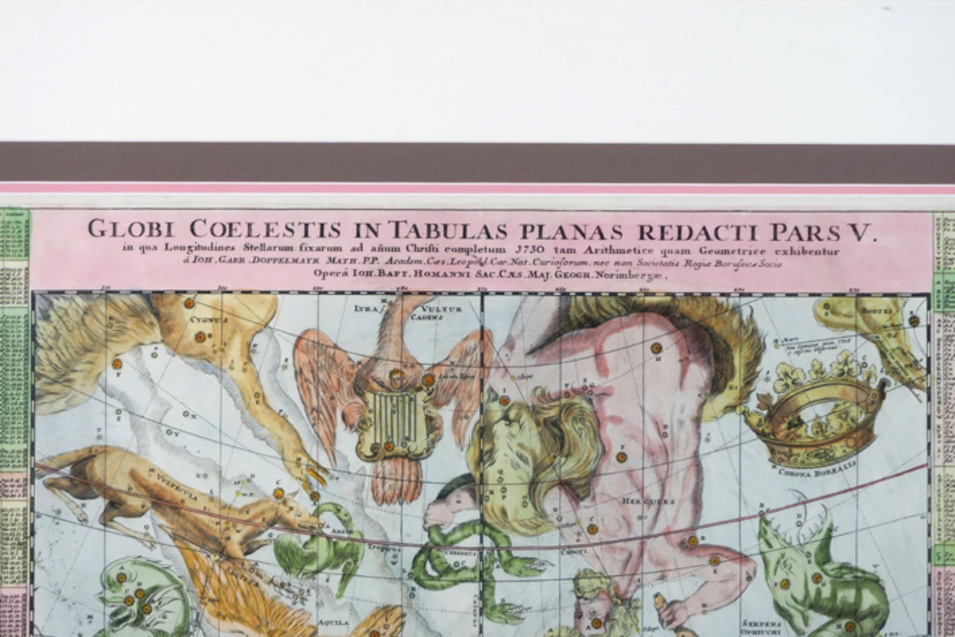 "Globe celestus in Tabulas Planas redacti Pars V" engraving by Doppelmayer & Homan DOPPELMAYER & - Image 2 of 5