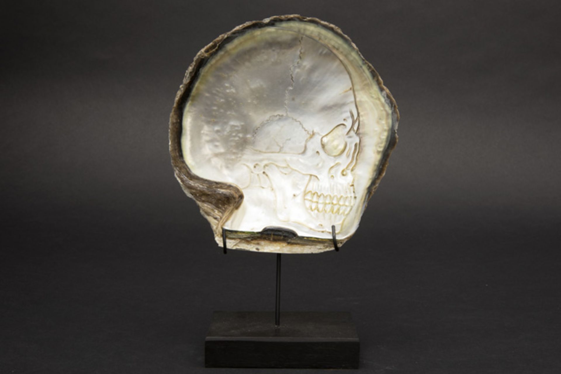 basrelief of a skull in a "pinctade maxima" shell Bas-reliëf gesneden in een "pinctade maxima"