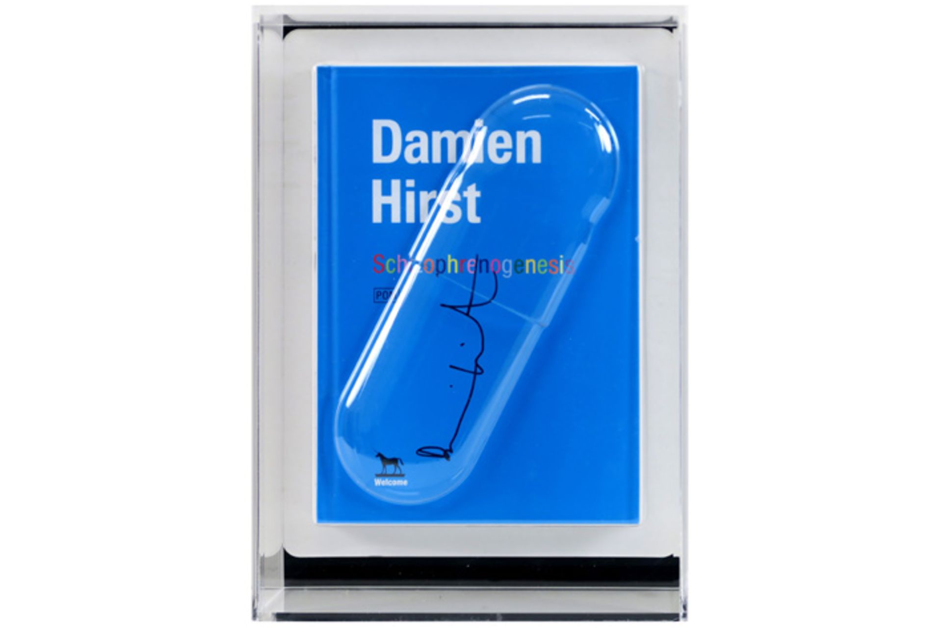 Damien Hirst signed "Schizophrenogenesis" book with the original pillbox - in a plexi case HIRST - Bild 3 aus 3
