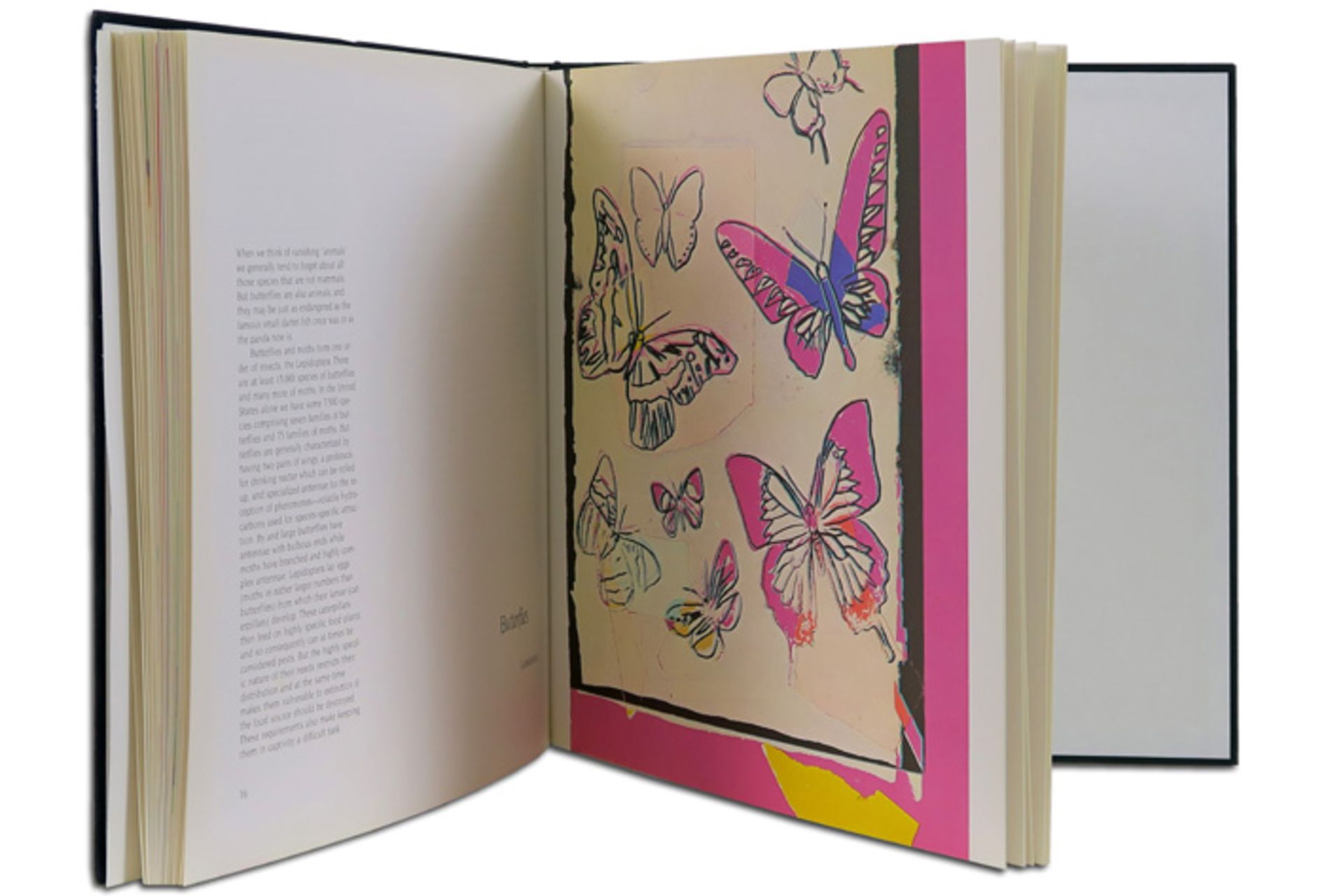 signed Andy Warhol "Butterfly" drawing, sold with the book "Vanishing animals" by Warhol and Kurt - Bild 6 aus 6