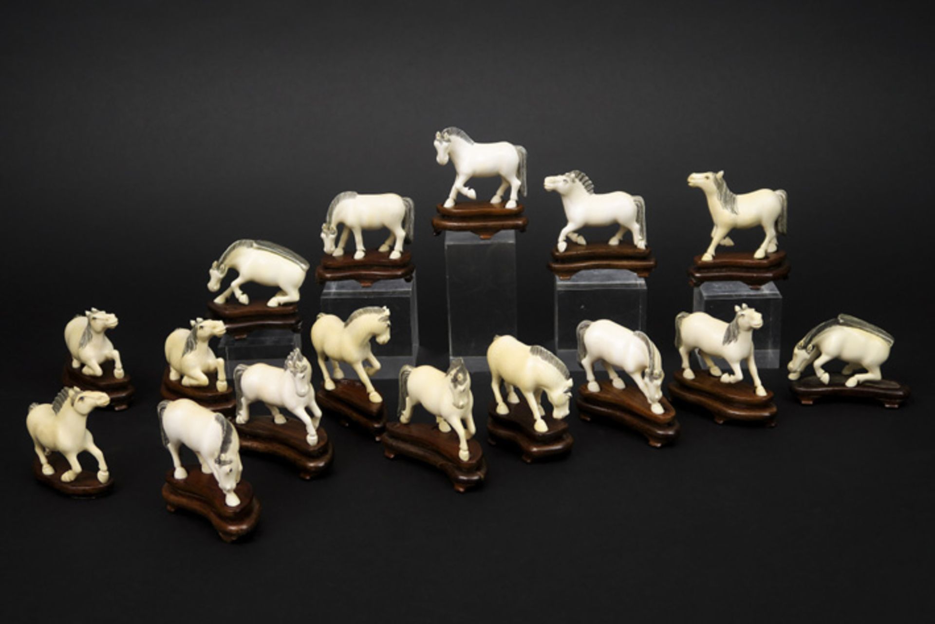 Serie van 16 Chinese paardjes in ivoor - gewicht : ca 600 gram ||set of 16 Chinese small horse