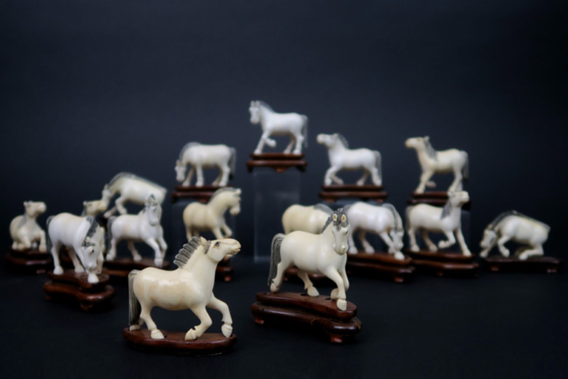 Serie van 16 Chinese paardjes in ivoor - gewicht : ca 600 gram ||set of 16 Chinese small horse - Image 2 of 3