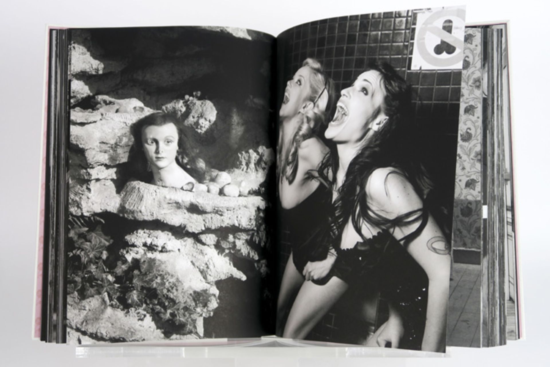 RHEIMS BETTINA (° 1952) & BRAMLY SERGE (° 1949) verzamelaarsboek "C'est Rose" met foto's van - Image 8 of 8