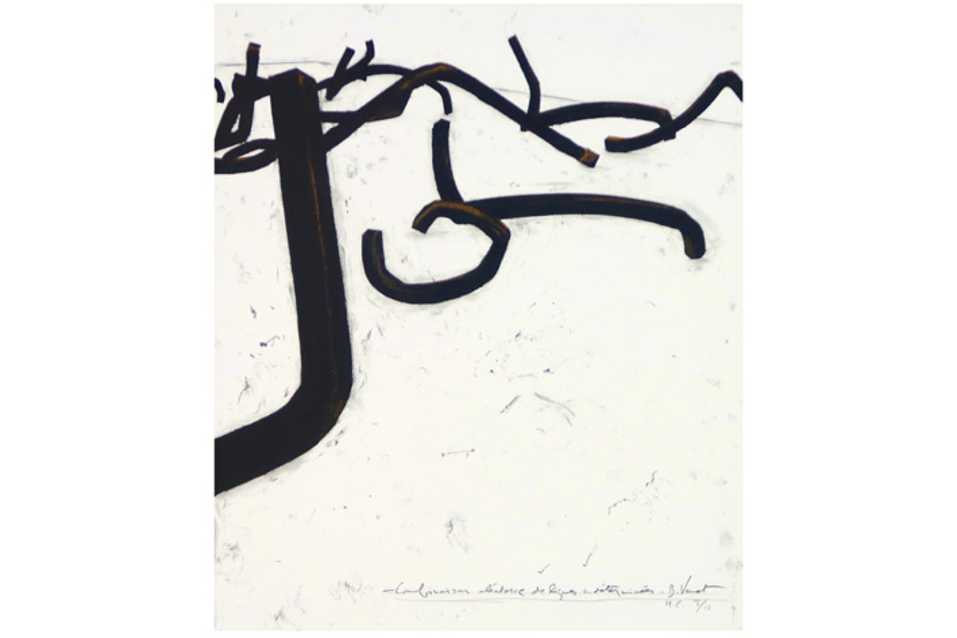 VENET BERNAR (° 1941) serigrafie n° 3/11 getiteld "Combinaison alétoire de lignes indéterminées" -