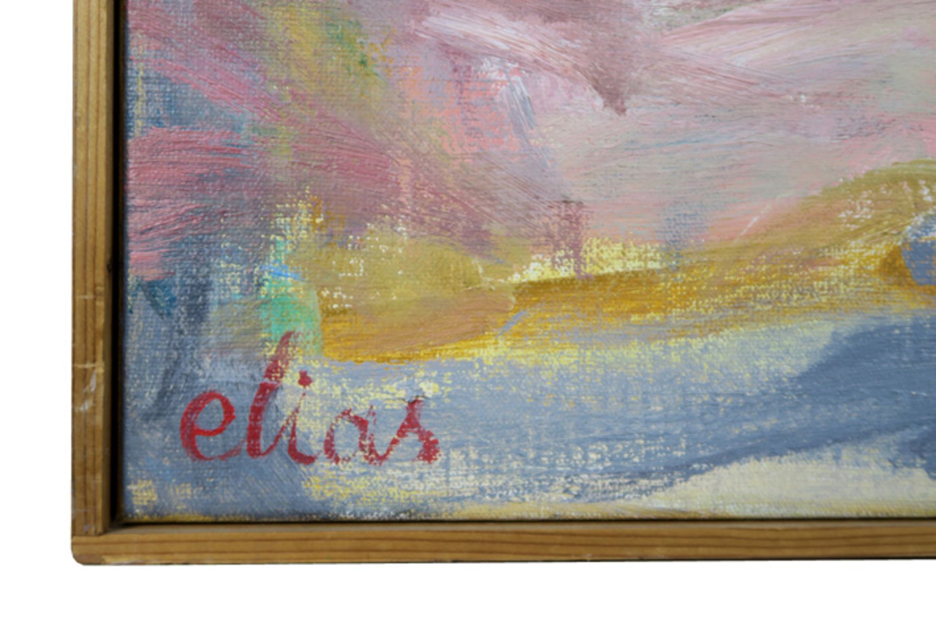 ELIAS ETIENNE (1936 - 2007) olieverfschilderij op doek op verso getiteld "Plezier" - 89 x 100 op - Image 3 of 4