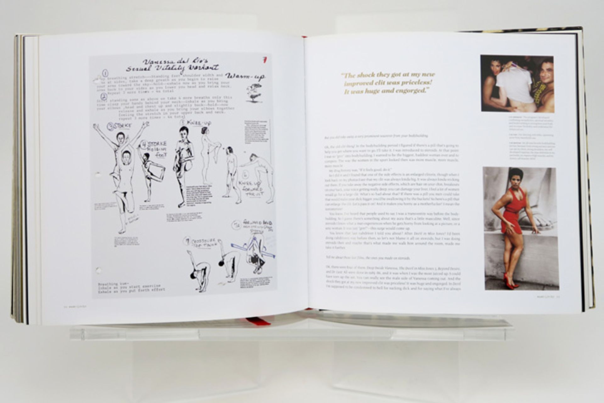 VANESSA DEL RIO luxe editie van het Taschen-boek "Fifty Years of slightly slutty Behaviour" met - Bild 5 aus 5