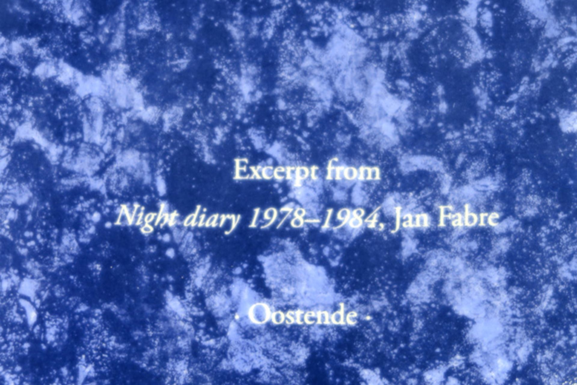 Jan Fabre "My Catechism" plate in porcelain, marked on the back "Excerpt from Night Diary 1978 - - Image 4 of 4