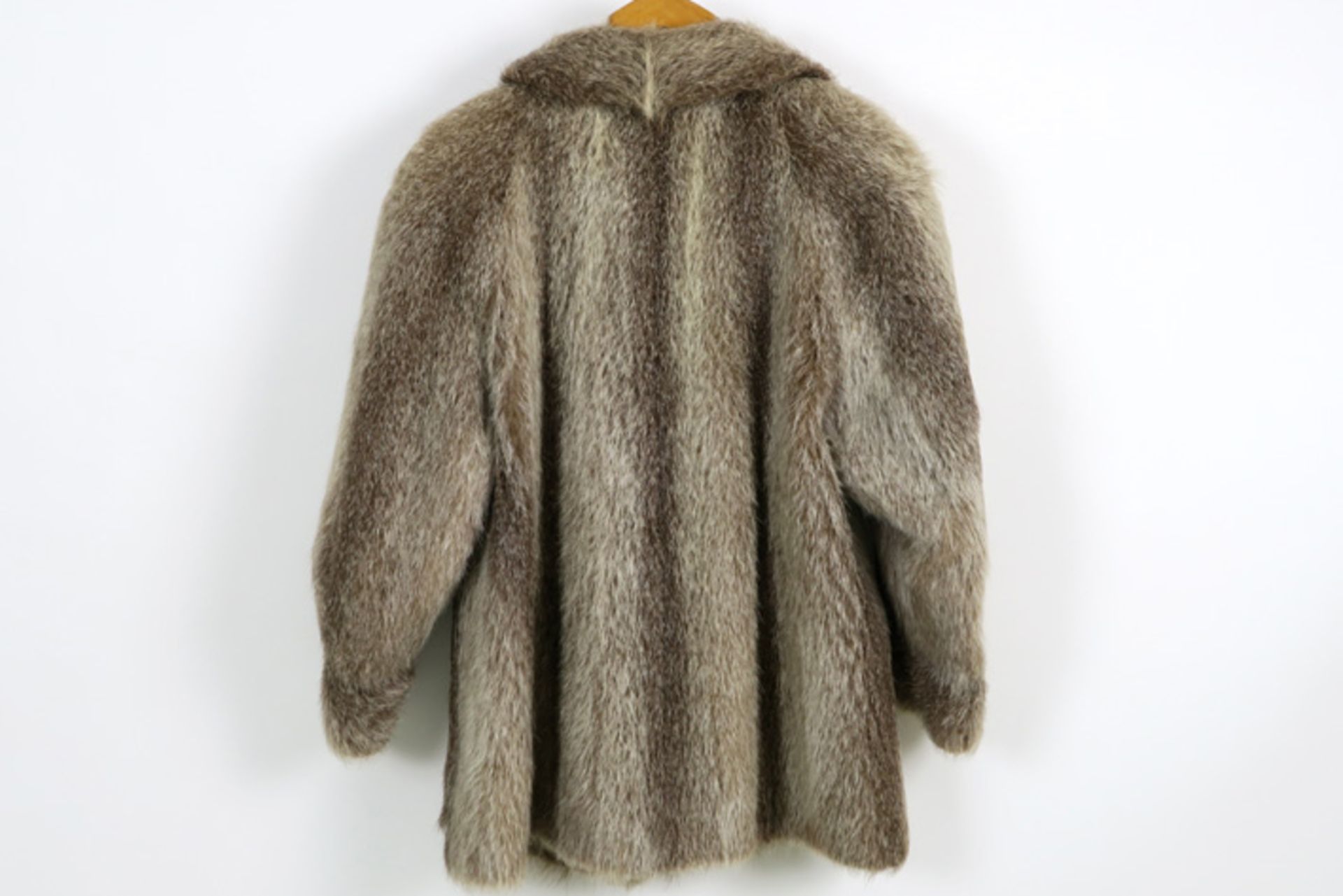 fur coat of muskrat||Vest in bont van muskusrat - Image 2 of 2