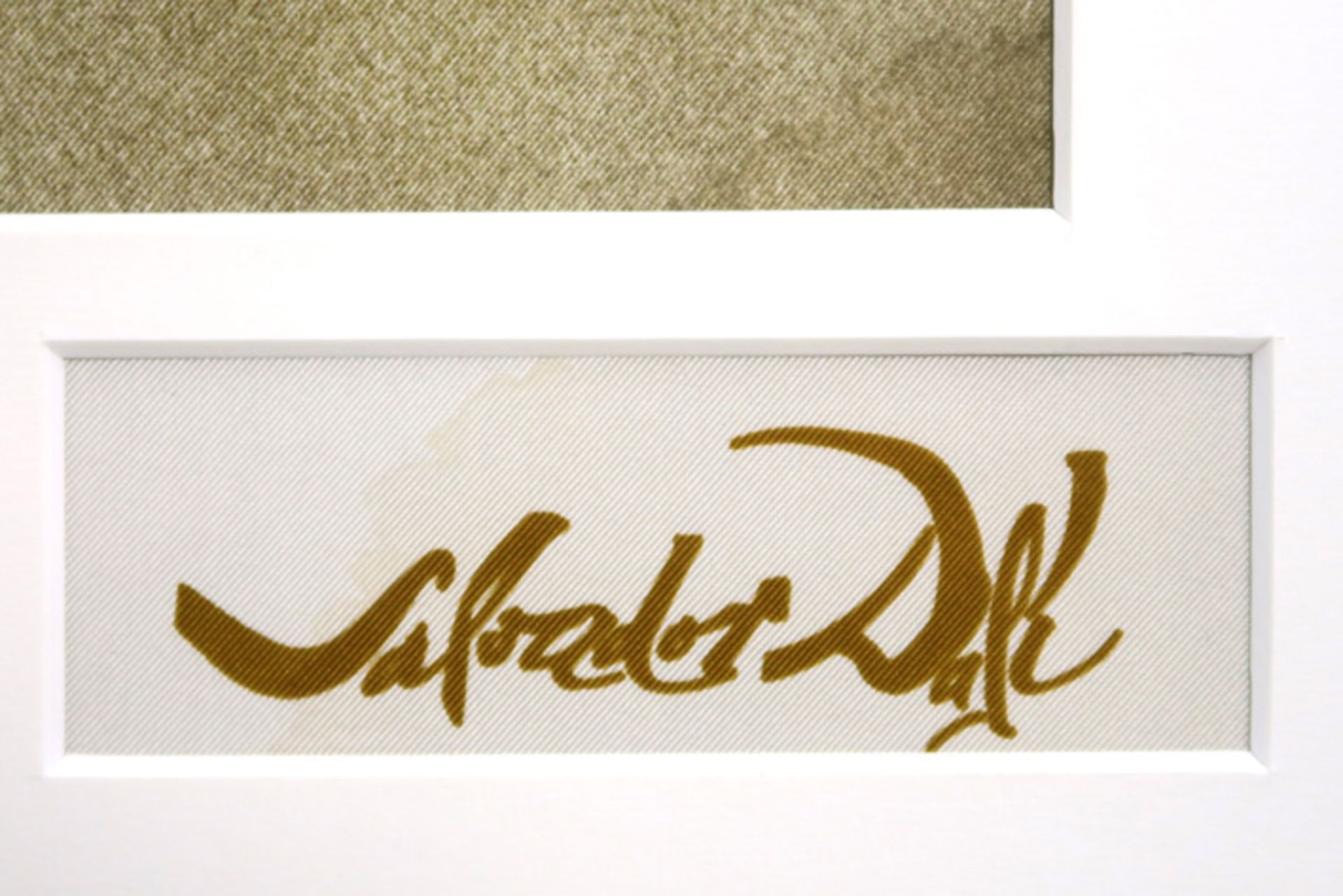 Salvador Dali screenprint on silk - signed in the print || DALI SALVADOR (° FIGUERAS 1904 - 1989) - Image 2 of 3