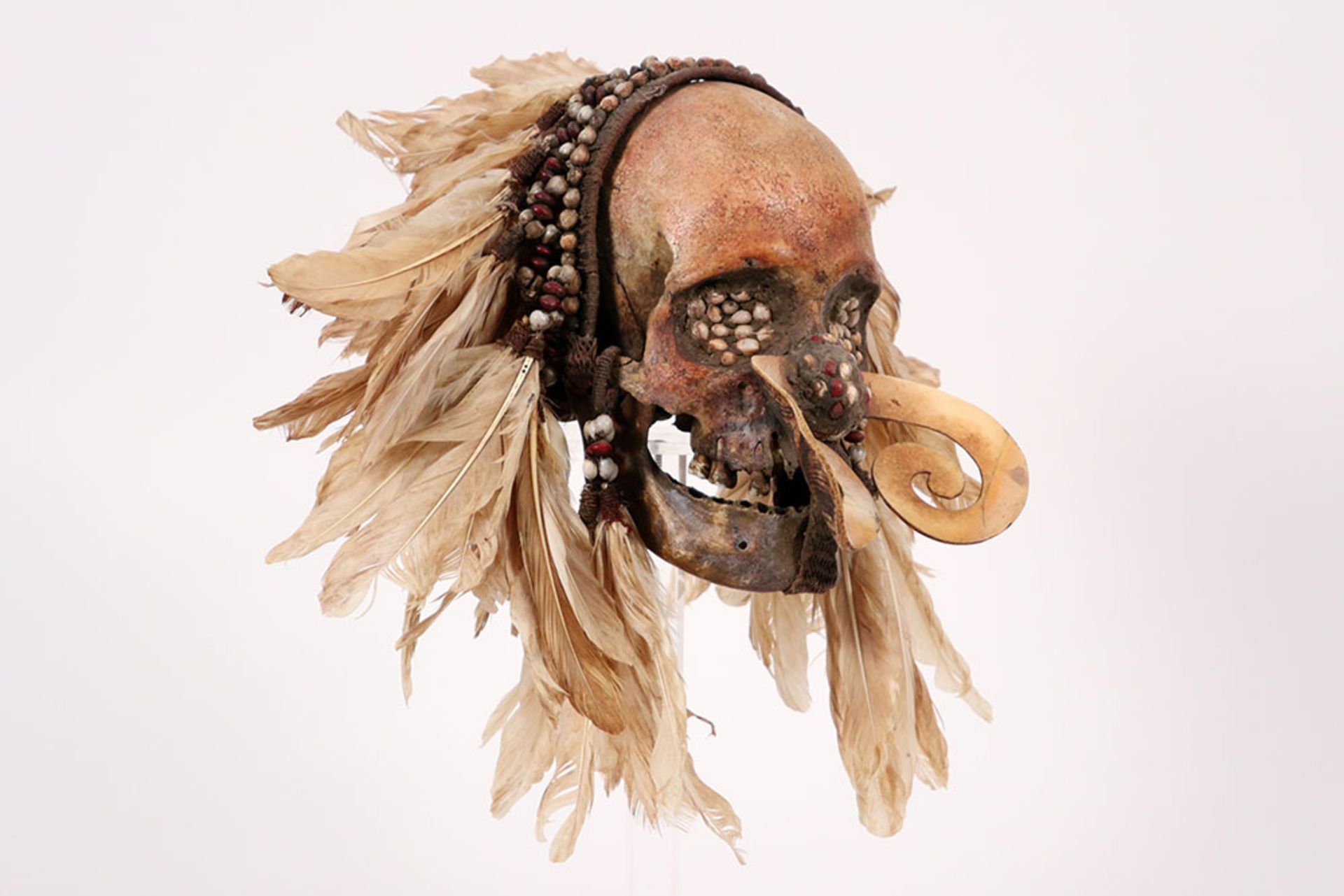 beautiful old Papua New Guinean "Asmat" sculpture with a skull with typical nose ornament, with - Image 6 of 6