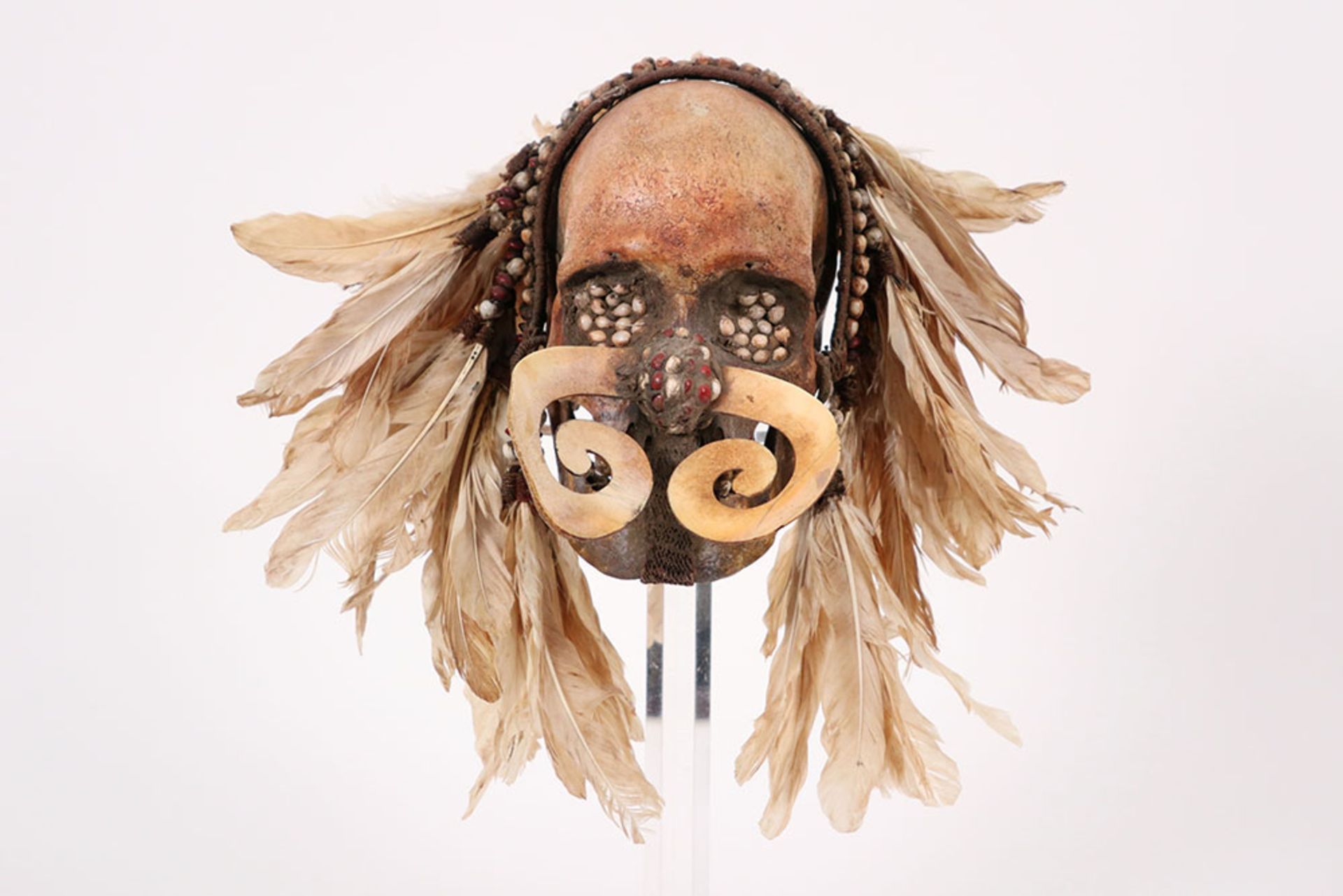 beautiful old Papua New Guinean "Asmat" sculpture with a skull with typical nose ornament, with