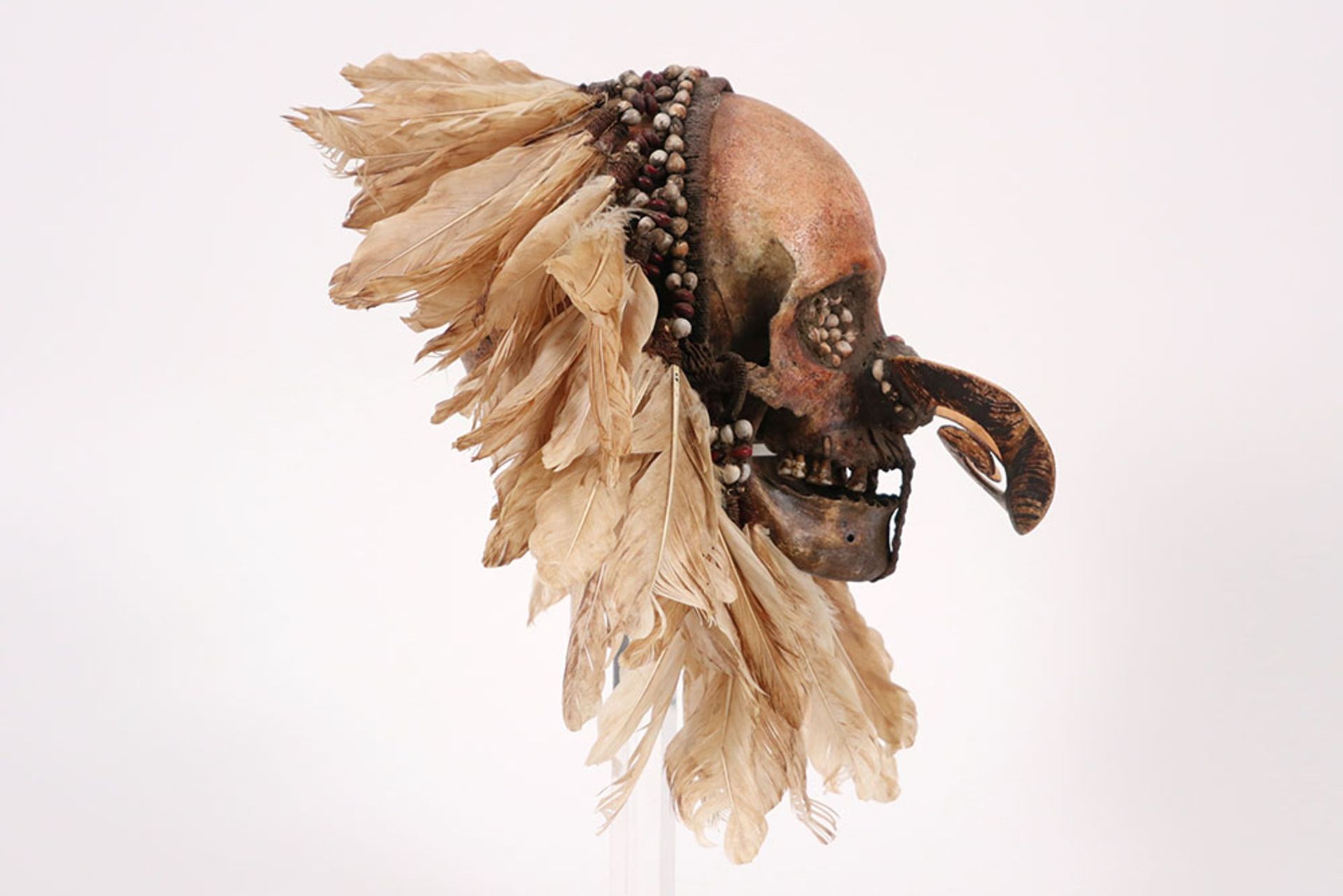 beautiful old Papua New Guinean "Asmat" sculpture with a skull with typical nose ornament, with - Image 5 of 6