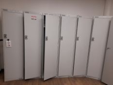 20 - Various single door lockers, as lotted