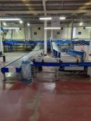 Unloading and data catchment: Line 3 - Approx. 12 various conveyors, belt & roller, straight,