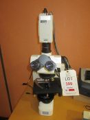 Nikon Eclipse E600 microscope with JVC TK-C1481BEG camera, Niko Phase contrast 0.90 Dry, s/n: