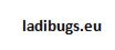 Domain name: ladibugs.eu, Expiry date: 22/07/2021