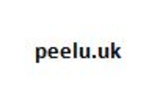 Domain name: peelu.uk, Expiry date: 22/07/2021