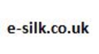 Domain name: e-silk.co.uk, Expiry date: 18/07/2022