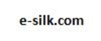 Domain name: e-silk.com, Expiry date: 01/06/2021