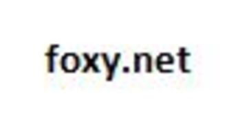 Domain name: foxy.net, Expiry date: 13/10/2021