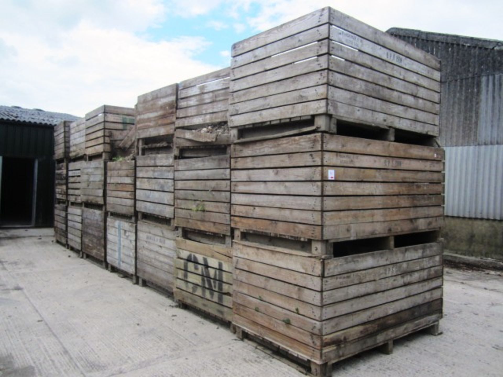 Twenty various potato boxes - to include contents of soil, as lotted (Please Note: Purchaser will be