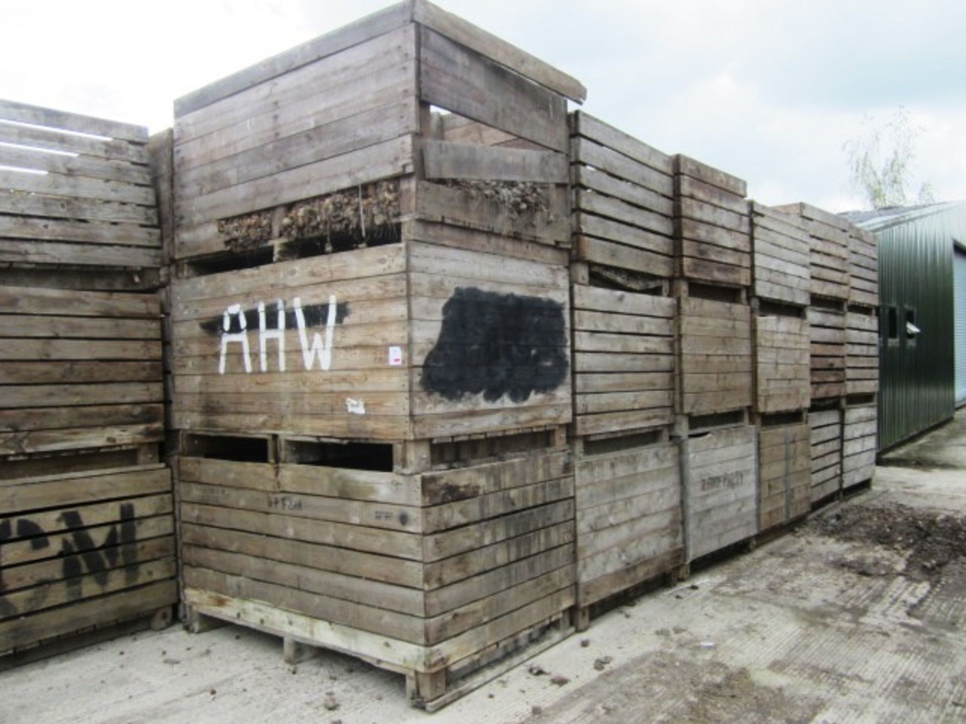 Thirty two various potato boxes - to include contents of soil, as lotted (Please Note: Purchaser