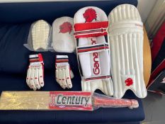 A set of youth cricket pads, arm & thigh pad with gloves bag + century gold size 6 indoor bat