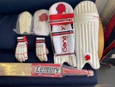 A set of youth cricket pads, arm & thigh pad with gloves bag + century gold size 6 indoor bat