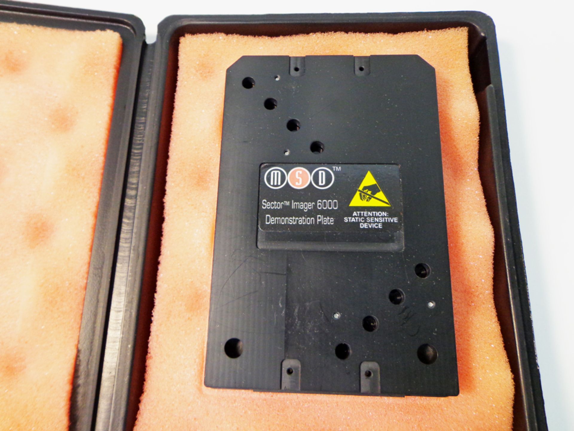 MSD Sector Imager 6000 demonstration plate, 036ZCAI1188. (WA12938)