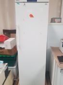 Tall Freezer with Locking door (WA11114)