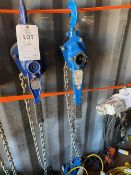Two Lifting Gear 3000Kg Lever hoists. *N.B. This lot has no record of Thorough Examination. The