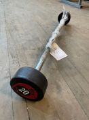 Barbell 20KG Curl Ex- Display