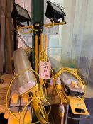 Four site lamps 1x halogen, 3x Fluorescent and 110 v transformer