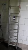 Abru Combination Step Ladder