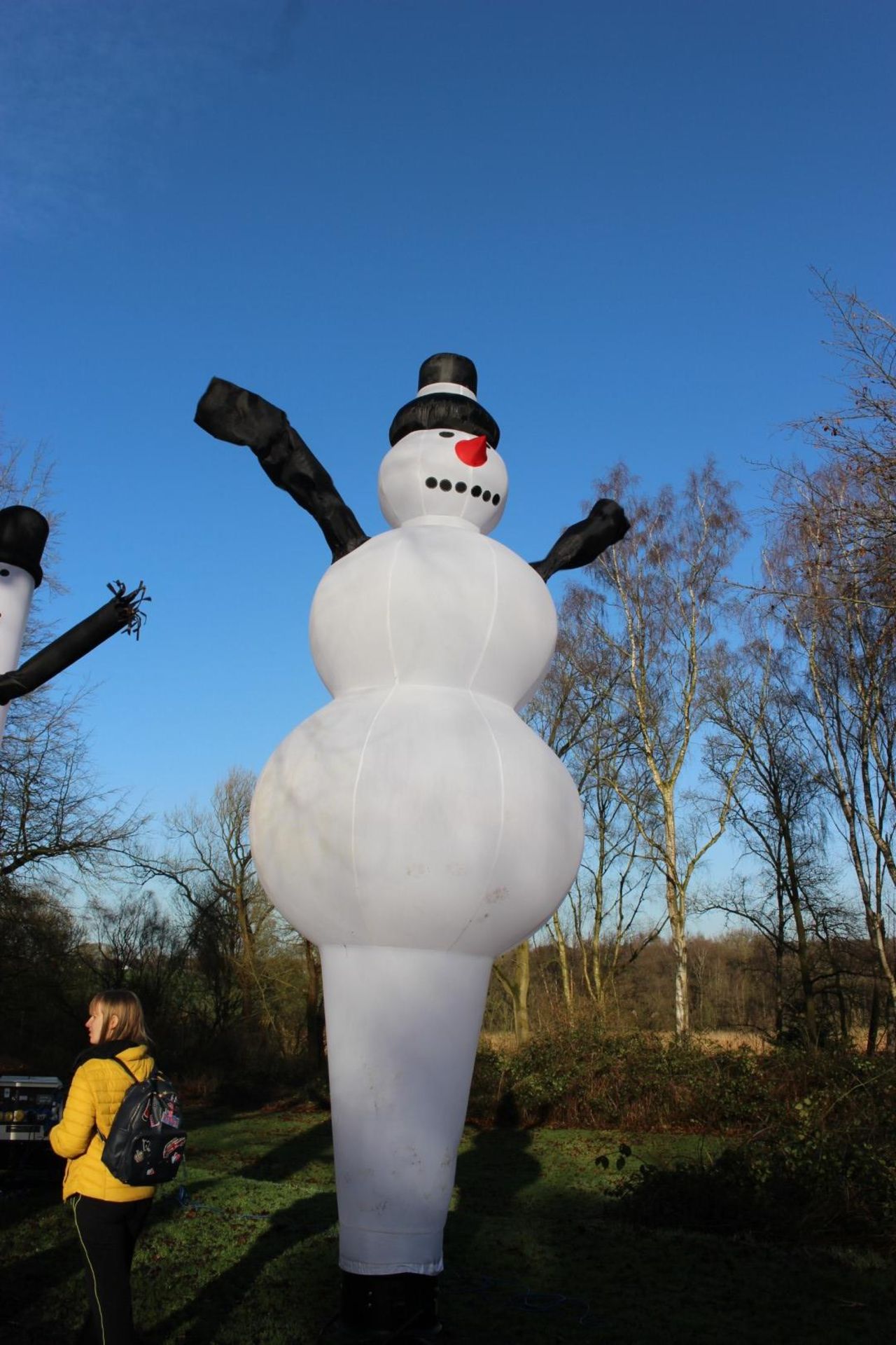 Frosty 5K Fun Run, including inflatable igloo, arc - Image 29 of 31