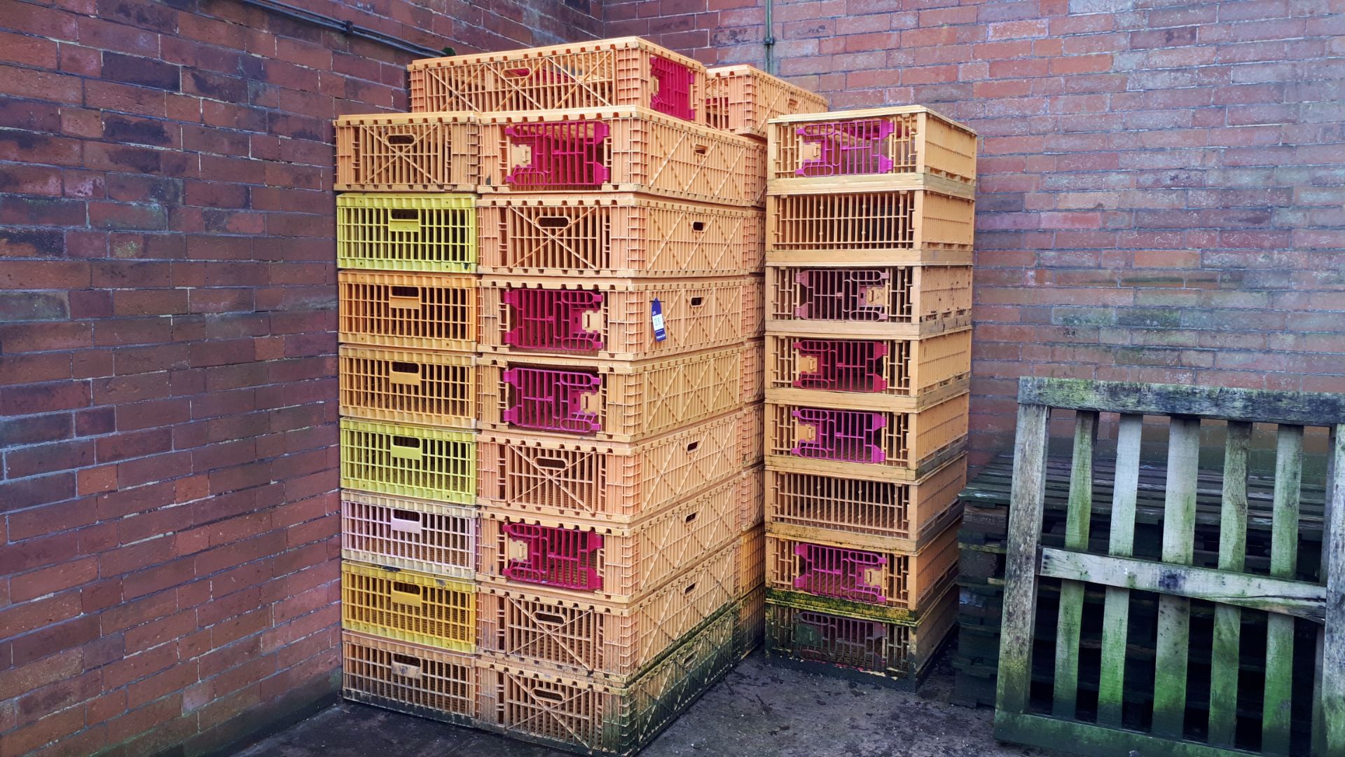 28 x game & poultry transportation crates