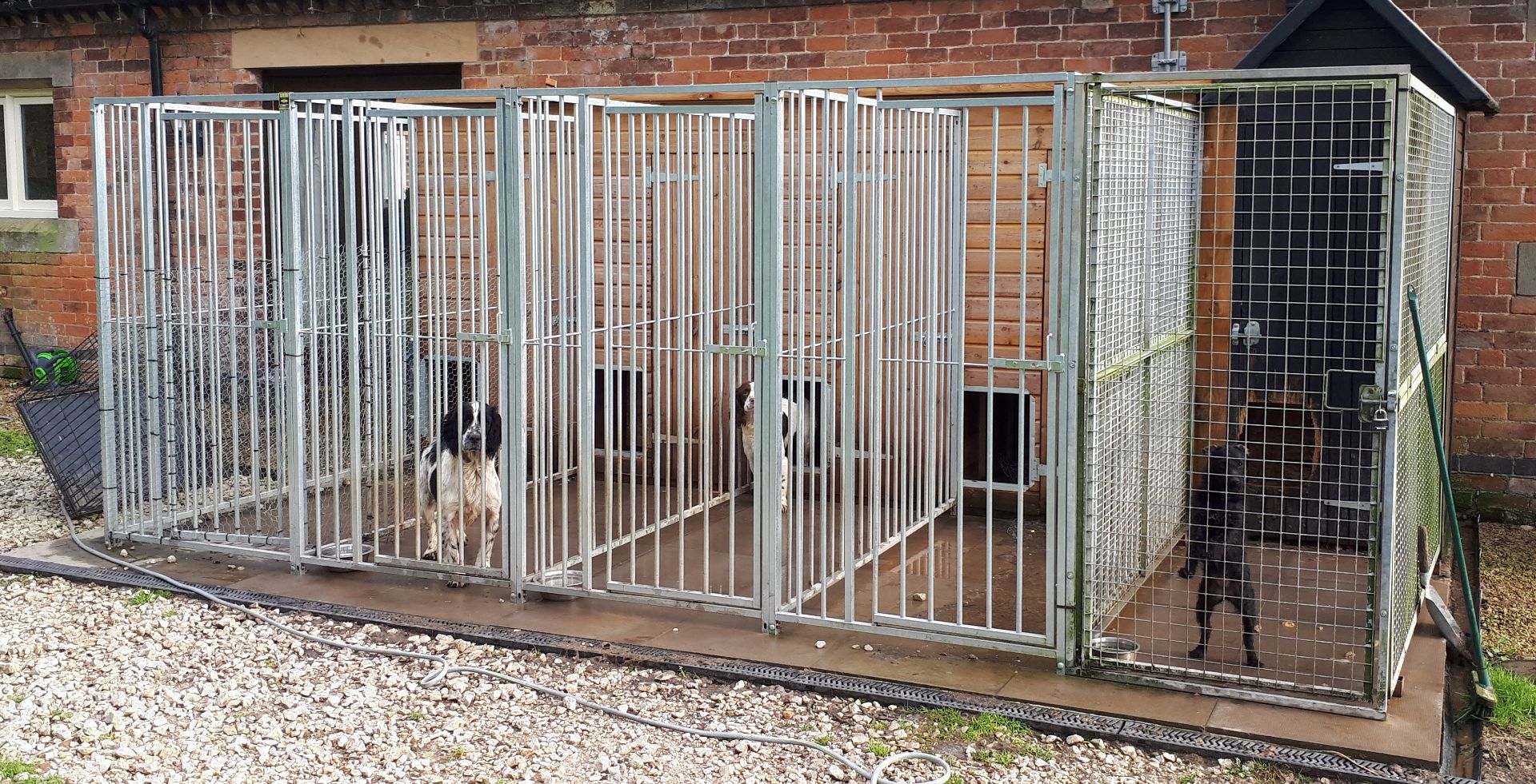 Four Bay Galvanised Steel Dog Kennel / Run