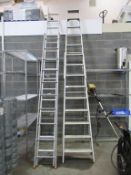 A-Shape step ladder and double section step ladder