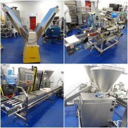 Online Auction of Vemag Extruders and Cookie Bakery Assets